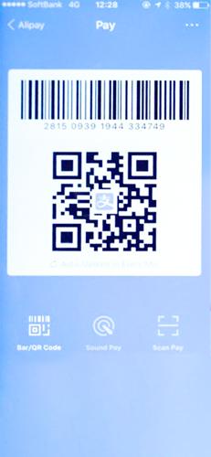 SBP QR Kod Ödeme